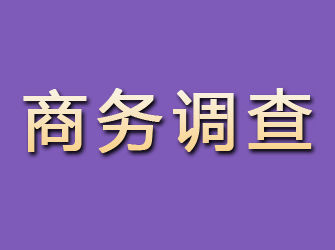 河源商务调查